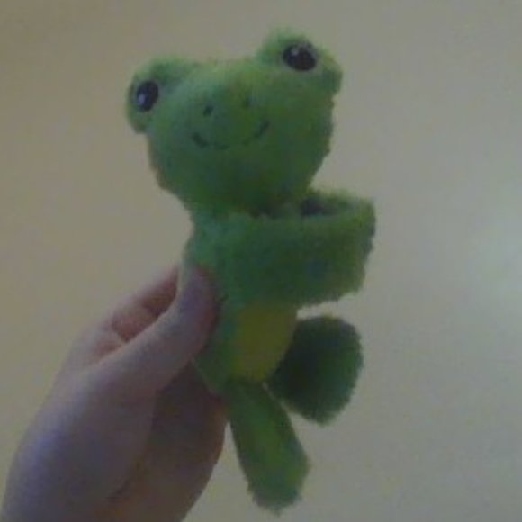 A Green Arm Hugger Frog! - Picture 1 of 4